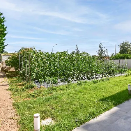 Beautiful In Trappeto (Sicily)