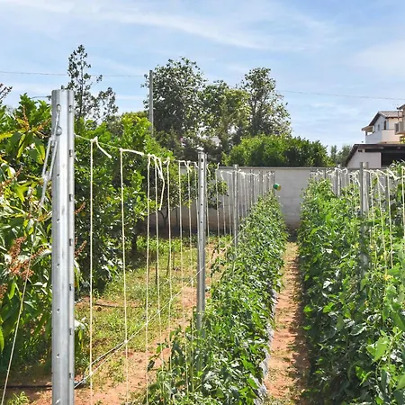 Beautiful In * Trappeto (Sicily)