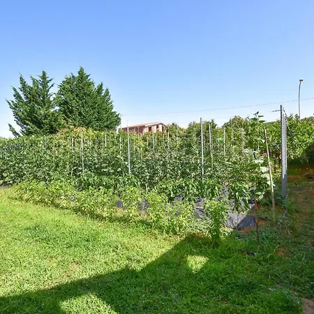 Appartement Beautiful In *